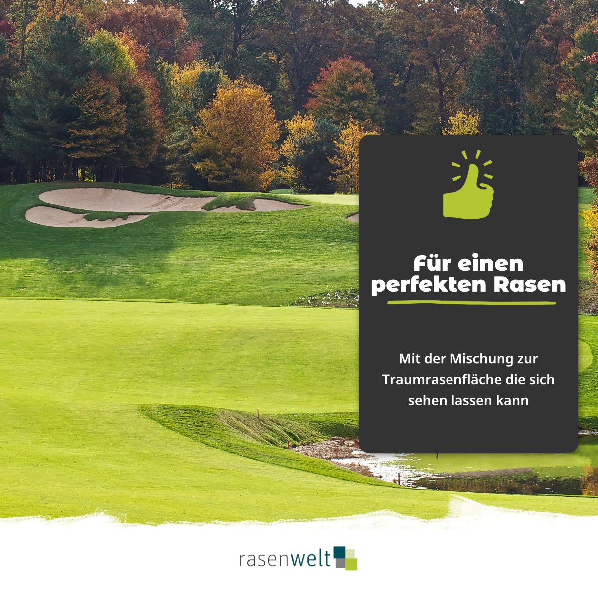 Rasensamen ARENA Fairway Regeneration